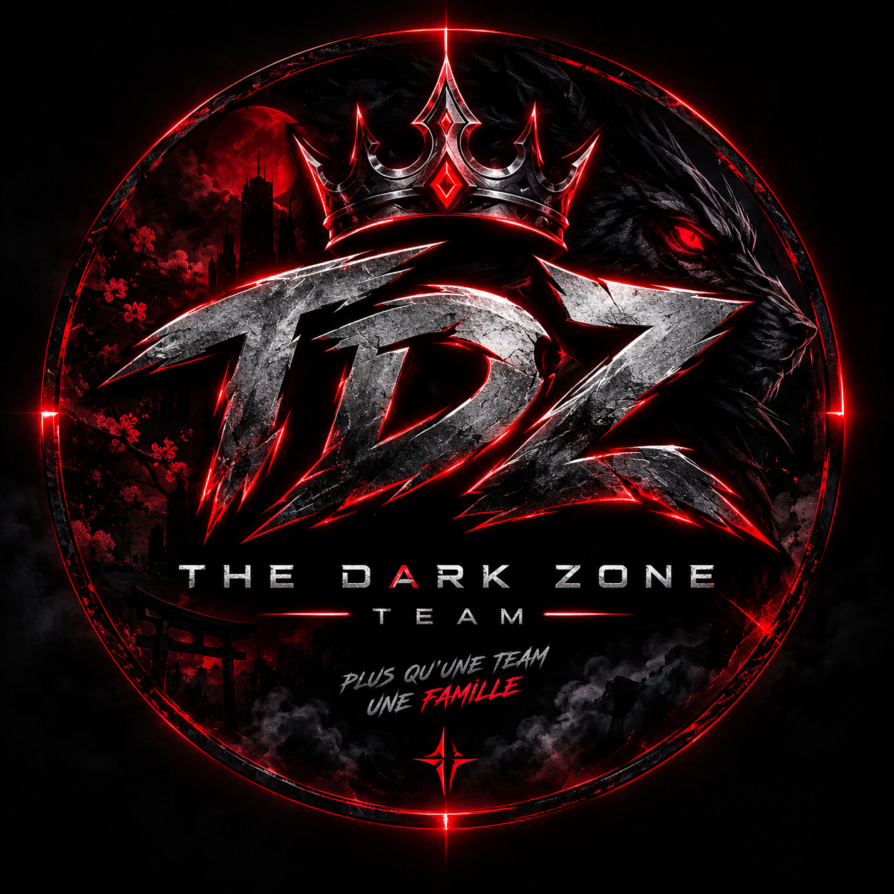 Logo The Dark Zone Team